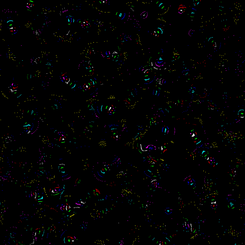 Particle of Life